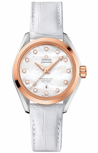 Omega Seamaster Aqua Terra 231.23.34.20.55.001