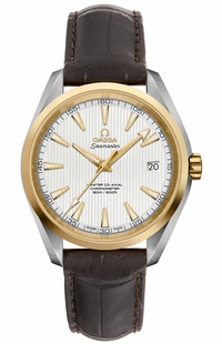 Omega Seamaster Aqua Terra 231.23.39.21.02.002