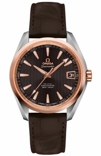 Omega Seamaster Aqua Terra 231.23.39.21.06.001