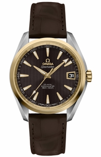 Omega Seamaster Aqua Terra 231.23.39.21.06.002