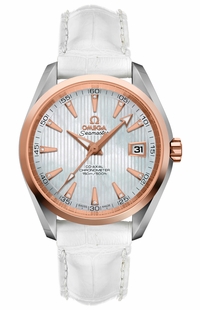 Omega Seamaster Aqua Terra 231.23.39.21.55.001