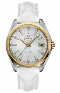 Omega Seamaster Aqua Terra 231.23.39.21.55.002