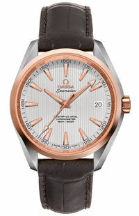 Omega Seamaster Aqua Terra 231.23.42.21.02.001