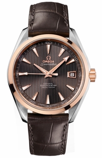 Omega Seamaster Aqua Terra 231.23.42.21.06.001