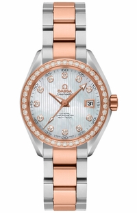 Omega Seamaster Aqua Terra 231.25.30.20.55.001