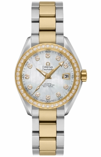 Omega Seamaster Aqua Terra 231.25.30.20.55.002