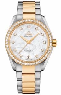 Omega Seamaster Aqua Terra 231.25.39.21.55.002