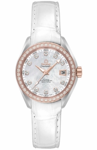 Omega Seamaster Aqua Terra 231.28.30.20.55.001