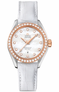 Omega Seamaster Aqua Terra 231.28.34.20.55.003