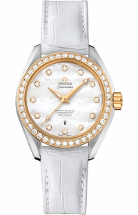 Omega Seamaster Aqua Terra 231.28.34.20.55.004