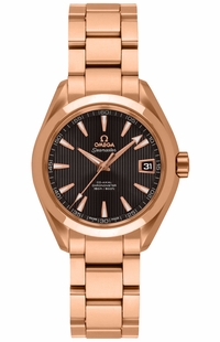 Omega Seamaster Aqua Terra 231.50.30.20.06.001