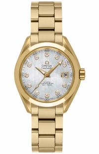 Omega Seamaster Aqua Terra 231.50.30.20.55.002