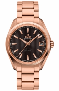 Omega Seamaster Aqua Terra 231.50.39.21.06.001