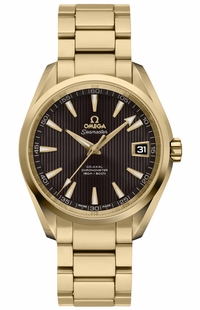 Omega Seamaster Aqua Terra 231.50.39.21.06.002