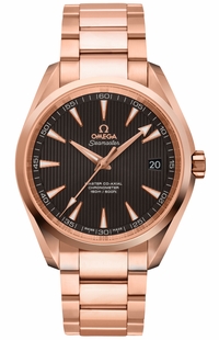 Omega Seamaster Aqua Terra 231.50.42.21.06.002