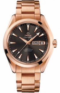 Omega Seamaster Aqua Terra 231.50.43.22.06.001