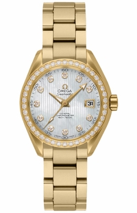 Omega Seamaster Aqua Terra 231.55.30.20.55.002