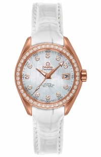 Omega Seamaster Aqua Terra 231.58.30.20.55.001