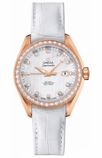 Omega Seamaster Aqua Terra 231.58.34.20.55.002