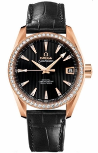 Omega Seamaster Aqua Terra 231.58.39.21.51.001
