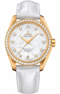 Omega Seamaster Aqua Terra 231.58.39.21.55.002