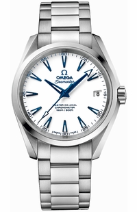 Omega Seamaster Aqua Terra 231.90.39.21.04.001