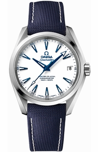 Omega Seamaster Aqua Terra 231.92.39.21.04.001