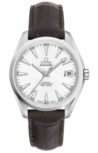 Omega Seamaster Aqua Terra 38.5mm Silver Dial Men's Watch 231.13.39.21.02.001