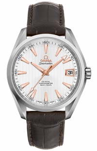 Omega Seamaster Aqua Terra 41.5mm Men's Watch 231.13.42.21.02.002