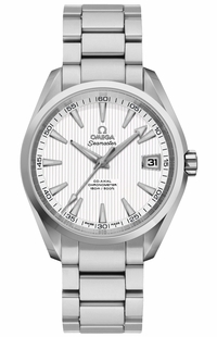 Omega Seamaster Aqua Terra Automatic Chronometer Men's Watch 231.10.39.21.02.001