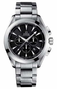 Omega Seamaster Aqua Terra Black Dial Men's Watch 231.10.44.50.01.001