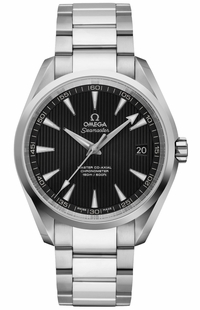 Omega Seamaster Aqua Terra Black Steel Watch 231.10.42.21.01.003