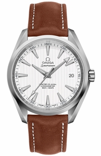 Omega Seamaster Aqua Terra Calibre 8500 Anti-Magnetic Men's Watch 231.10.42.21.02.003