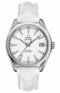 Omega Seamaster Aqua Terra Chronometer Silver Dial Men's Watch 231.10.39.21.02.001