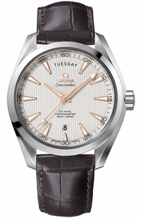 Omega Seamaster Aqua Terra Day Date Automatic Men's Watch 231.13.42.22.02.001