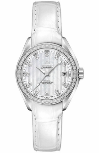 Omega Seamaster Aqua Terra Diamond Women's Watch 231.18.30.20.55.001