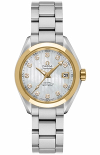 Omega Seamaster Aqua Terra Gold & Steel Diamond Women's Watch 231.20.30.20.55.004