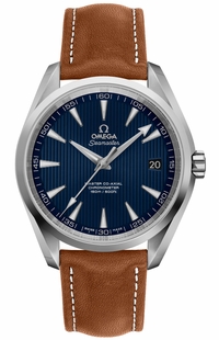 Omega Seamaster Aqua Terra Men's Sports Watch 231.10.42.21.03.003