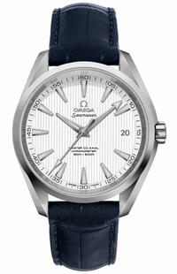 Omega Seamaster Aqua Terra Men's Watch 231.10.42.21.02.003