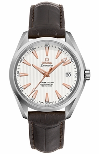 Omega Seamaster Aqua Terra Men's Watch 231.13.39.21.02.003