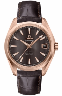 Omega Seamaster Aqua Terra Men's Watch 231.53.42.21.06.001