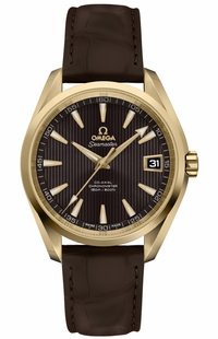 Omega Seamaster Aqua Terra Solid 18k Yellow Gold Men's Watch 231.53.39.21.06.002