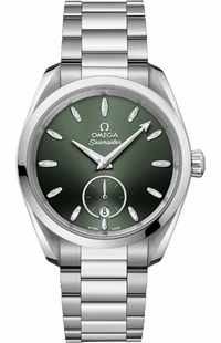 Omega Seamaster Aqua Terra Stainless Steel Men's Watch 220.10.38.20.10.001