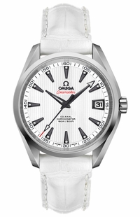 Omega Seamaster Aqua Terra White Dial Men's Luxury Watch 231.13.39.21.54.001