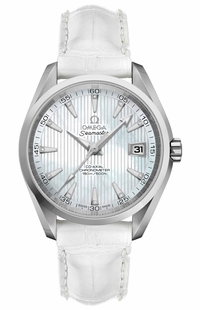 Omega Seamaster Aqua Terra White Pearl & Diamond Men's Watch 231.13.39.21.55.001