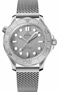 Omega Seamaster Diver 300M Grey Dial Steel Men's Watch 210.30.42.20.06.002