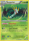 BW20 SERPERIOR Black & White Pokemon Black Star Promo Card