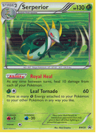 BW20 SERPERIOR Black & White Pokemon Black Star Promo Card
