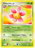 CHERRIM Pokemon Stormfront Rare Card # 14