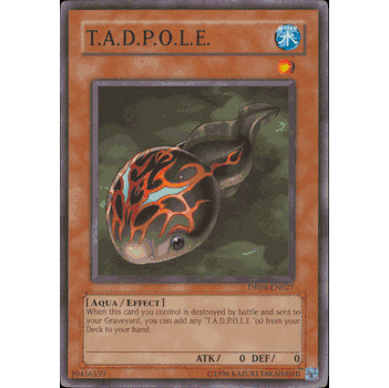 DR04-EN027 T.A.D.P.O.L.E. Yugioh Common Card